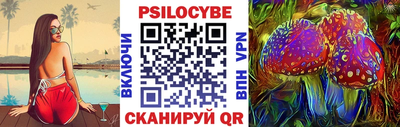 где можно купить   маркетплейс как зайти  Галлюциногенные грибы GOLDEN TEACHER  Кисловодск 