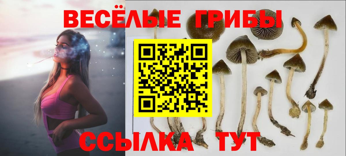  Кокаин Кисловодск