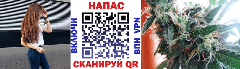 Конопля марихуана Кисловодск